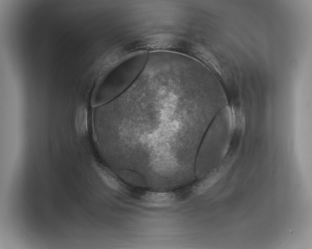 X0000113310205200909211149