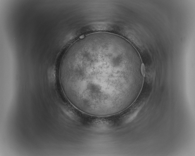 X0000113310207200909211149