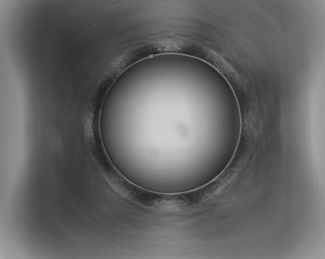 X0000113310209200909211148