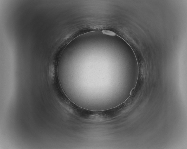 X0000113310211200909211148