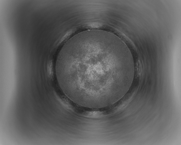 X0000113310212200909211148