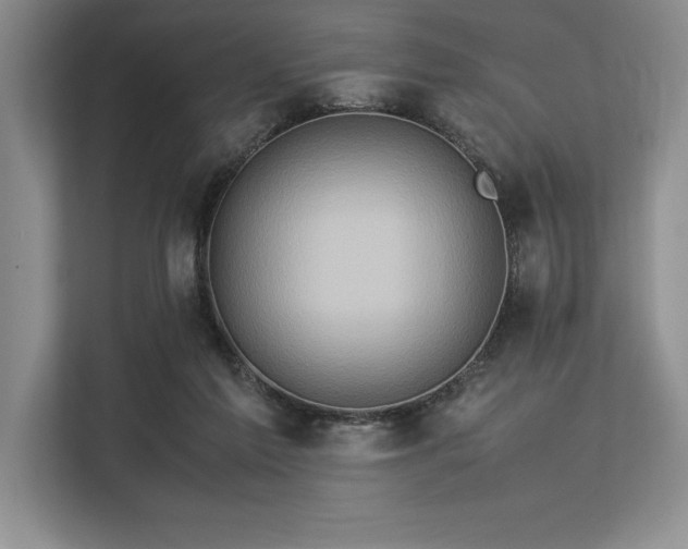 X0000113310213200909211148