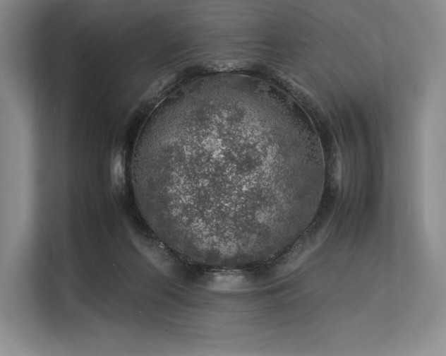 X0000113310214200909211148