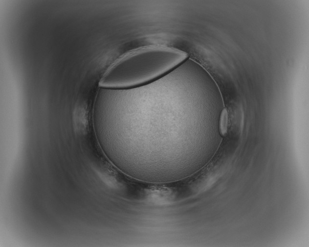 X0000113310215200909211148