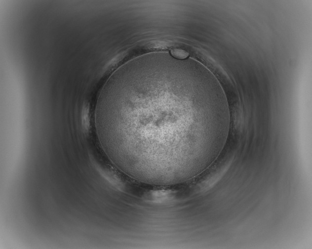 X0000113310216200909211148