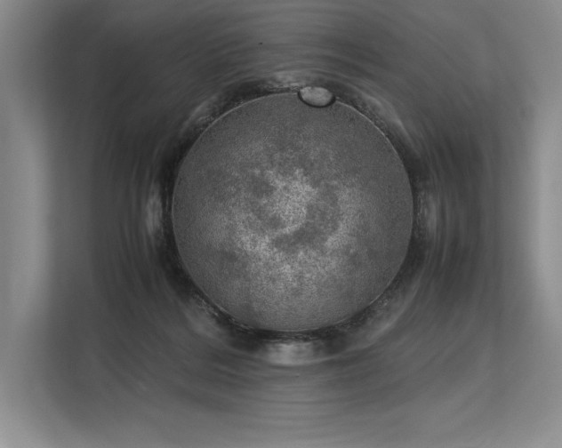 X0000113310220200909211148