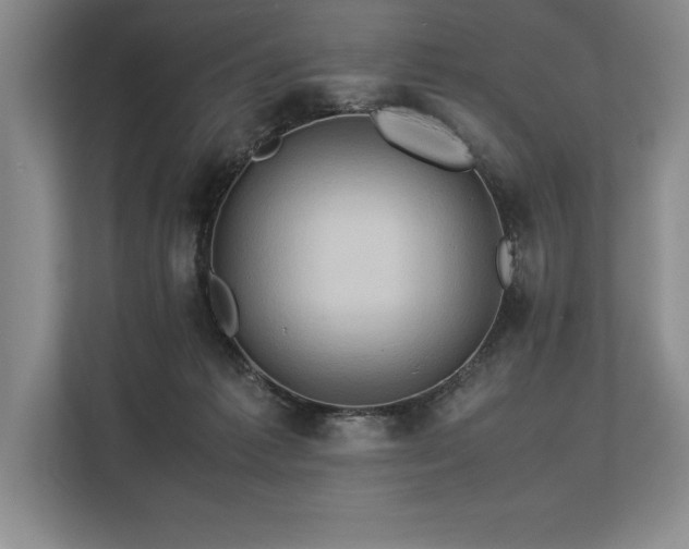 X0000113310221200909211148