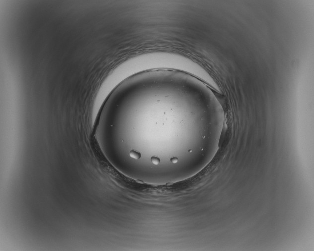 X0000113310223200909211148