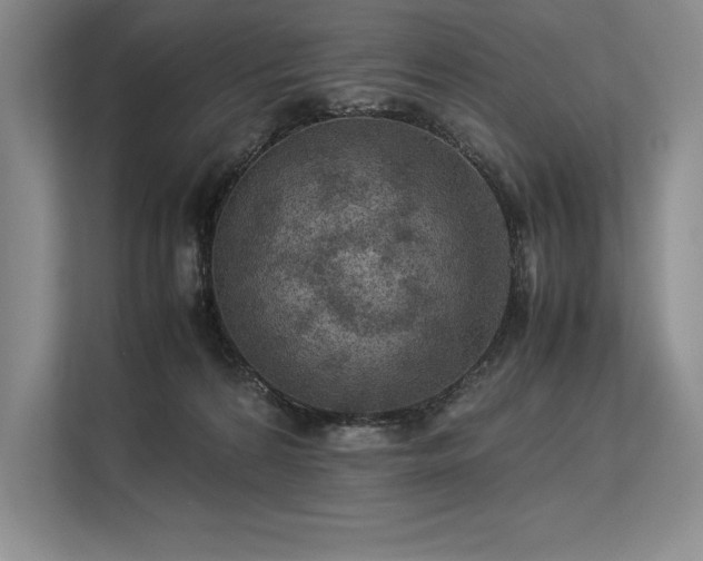 X0000113310224200909211148