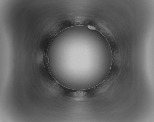 X0000113310225200909211148