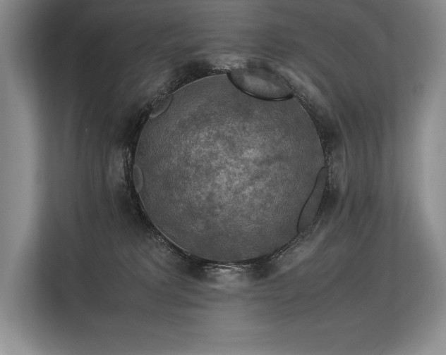 X0000113310229200909211148