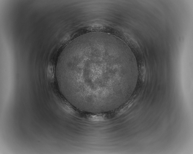 X0000113310232200909211148