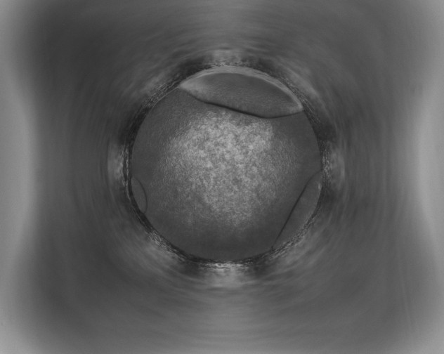 X0000113310233200909211148