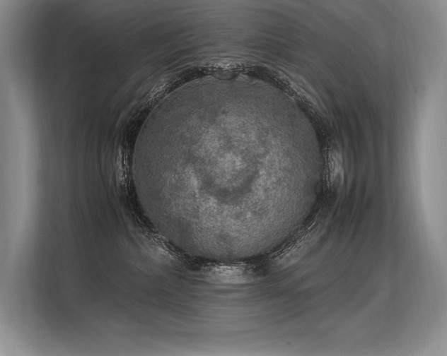 X0000113310236200909211148