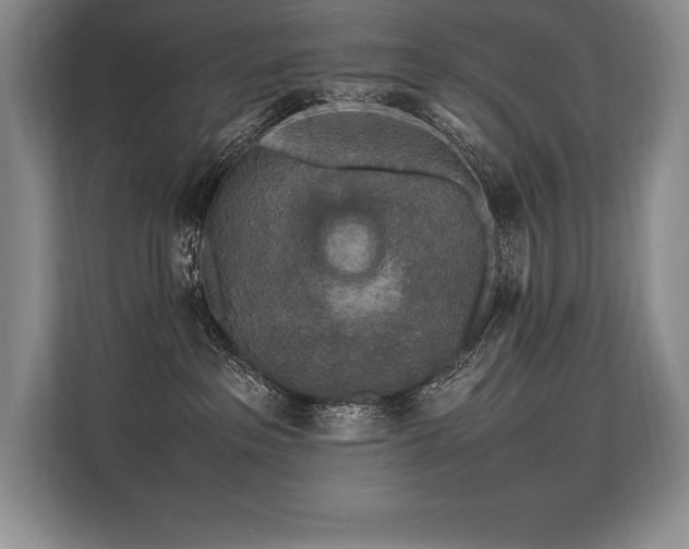 X0000113310237200909211148