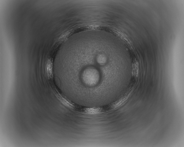 X0000113310238200909211148