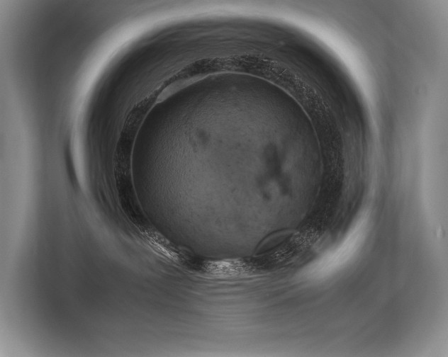 X0000113310239200909211148