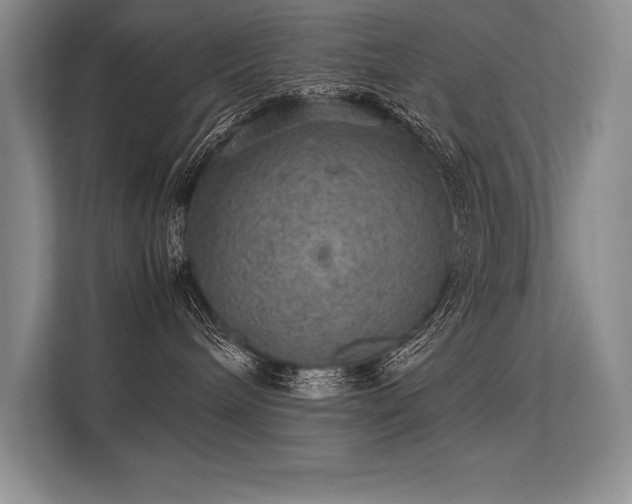 X0000113310240200909211148