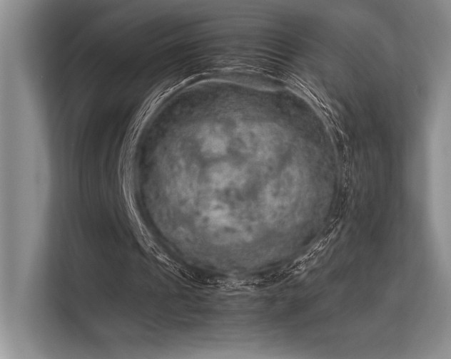 X0000113310241200909211147