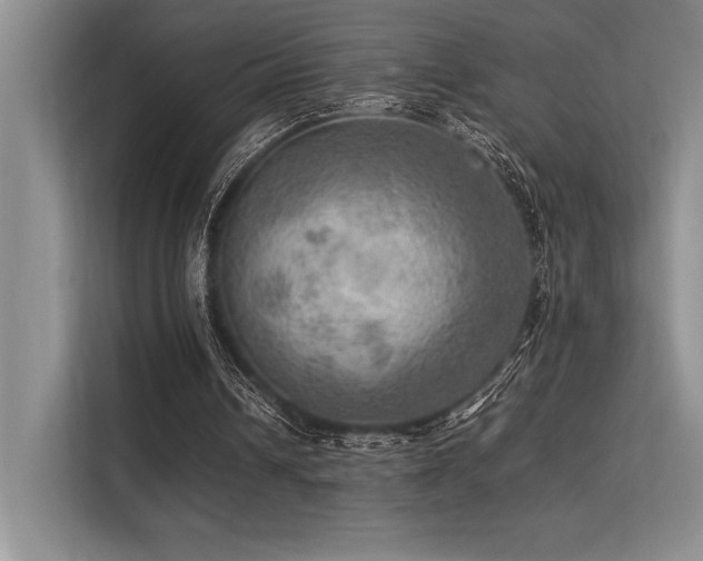 X0000113310242200909211147