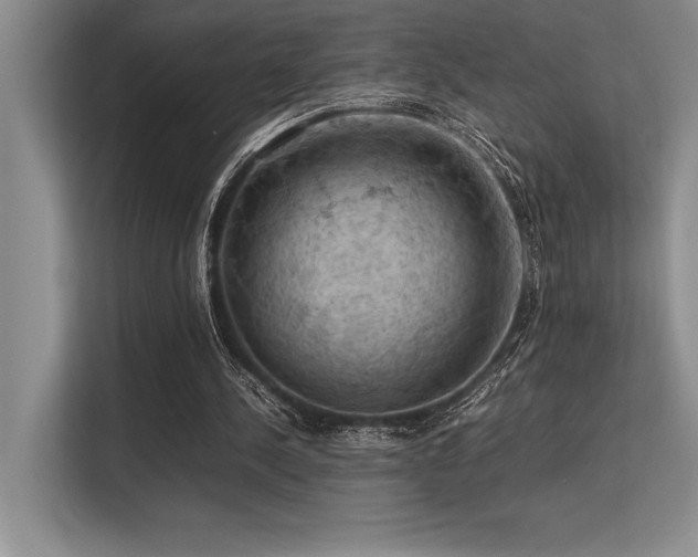 X0000113310244200909211147