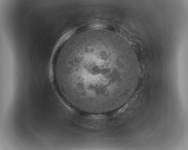 X0000113310245200909211148