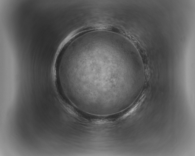 X0000113310246200909211148