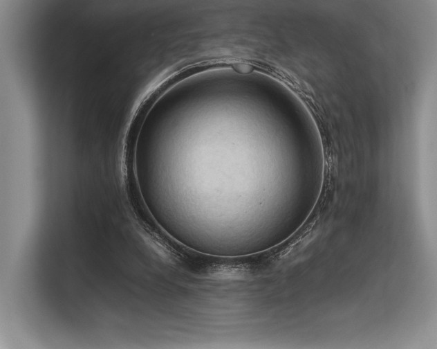 X0000113310248200909211148