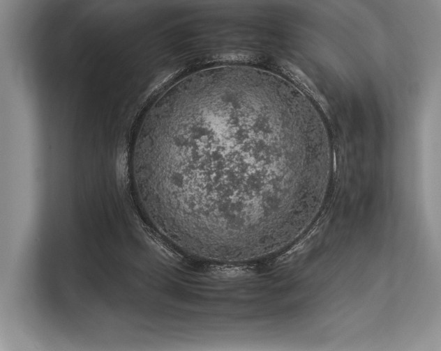 X0000113310249200909211148