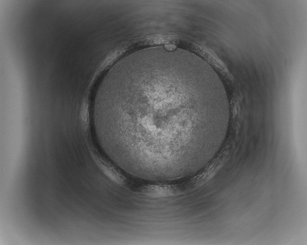 X0000113310250200909211148