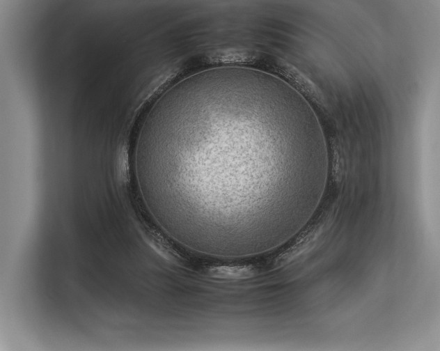 X0000113310251200909211148