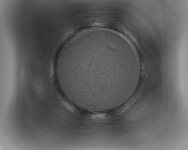 X0000113310257200909211148