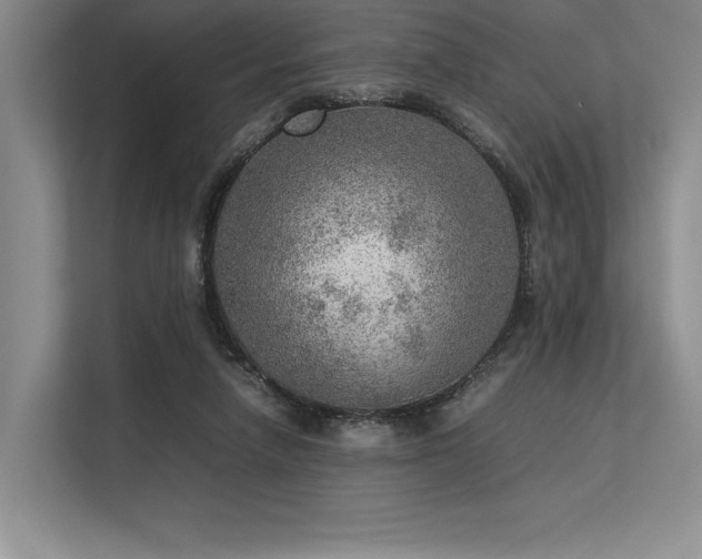 X0000113310258200909211148