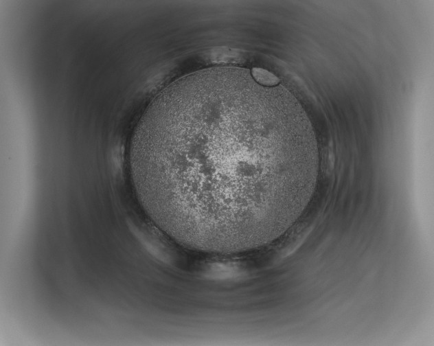 X0000113310263200909211148