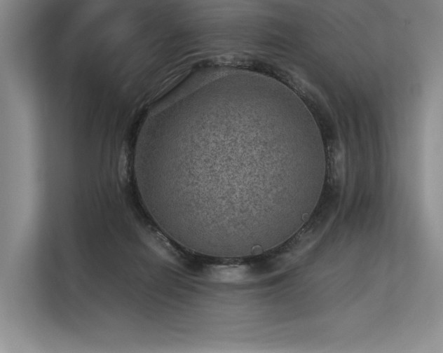 X0000113310266200909211148