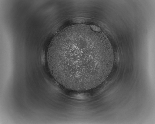 X0000113310267200909211148