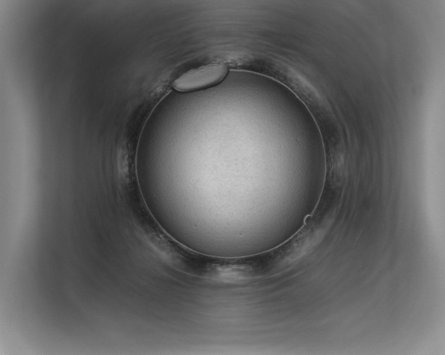 X0000113310268200909211148