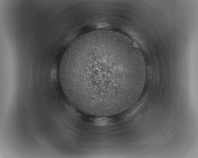 X0000113310269200909211148