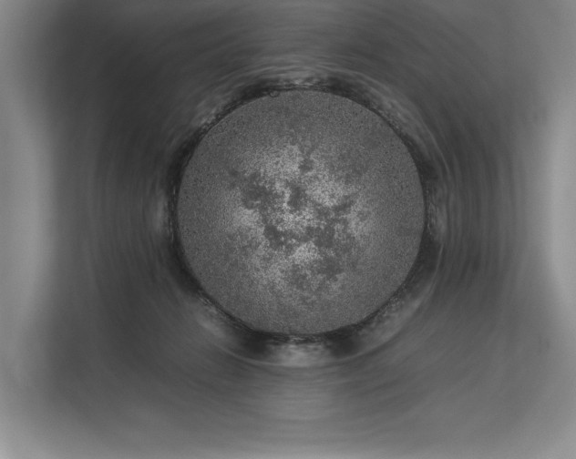 X0000113310270200909211148