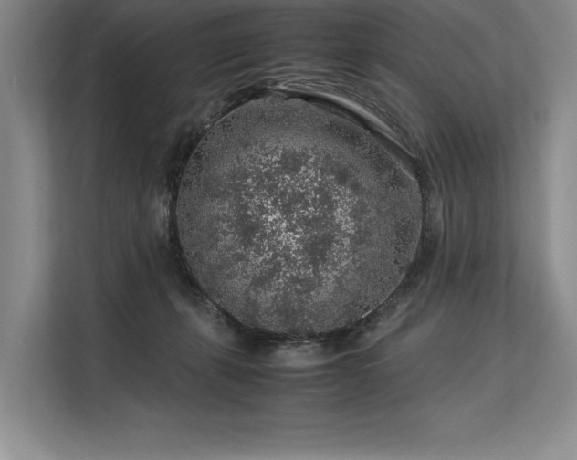 X0000113310271200909211148