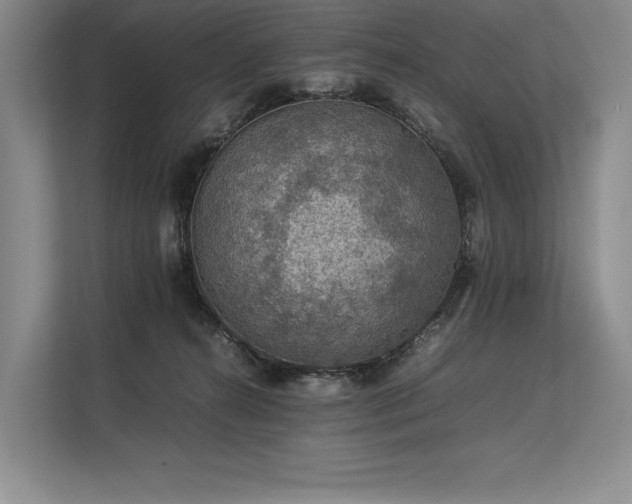 X0000113310272200909211148