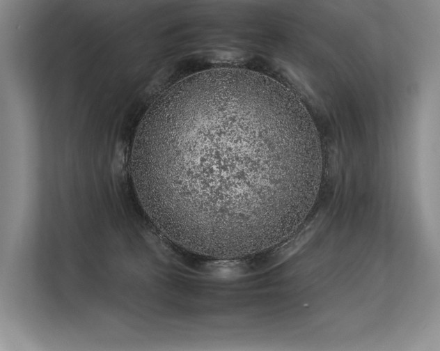 X0000113310273200909211148