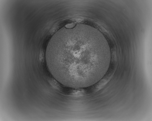 X0000113310274200909211148