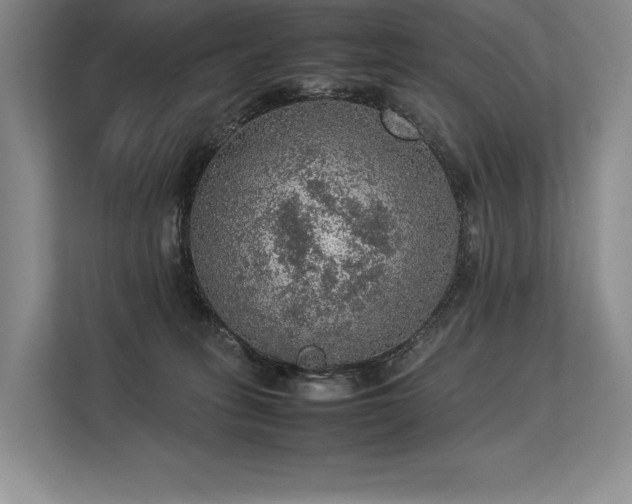 X0000113310275200909211148