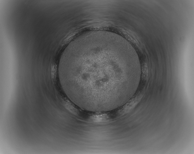 X0000113310278200909211148