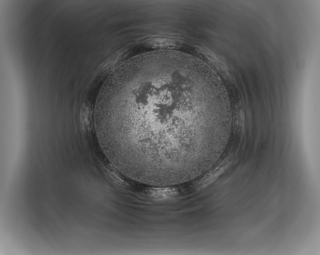 X0000113310281200909211148