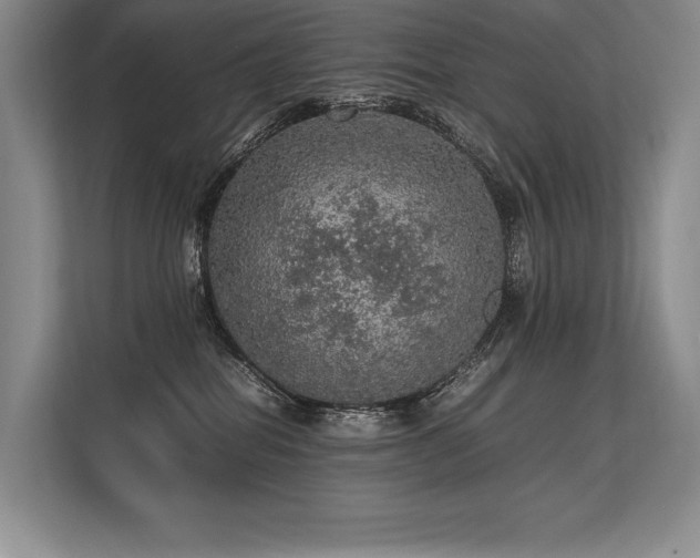 X0000113310282200909211148