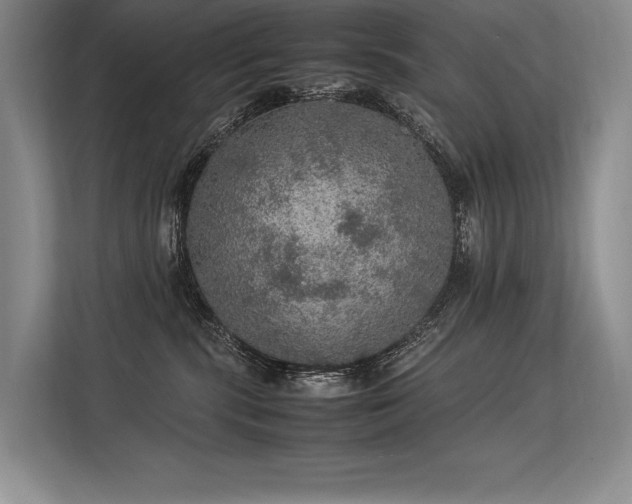 X0000113310283200909211148