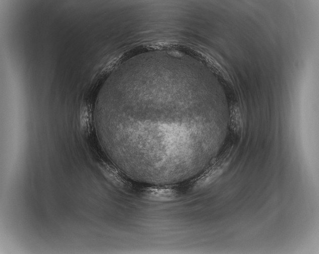 X0000113310284200909211148