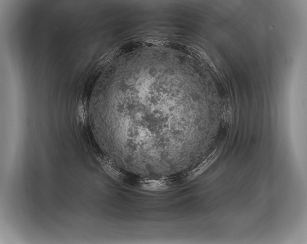 X0000113310285200909211148